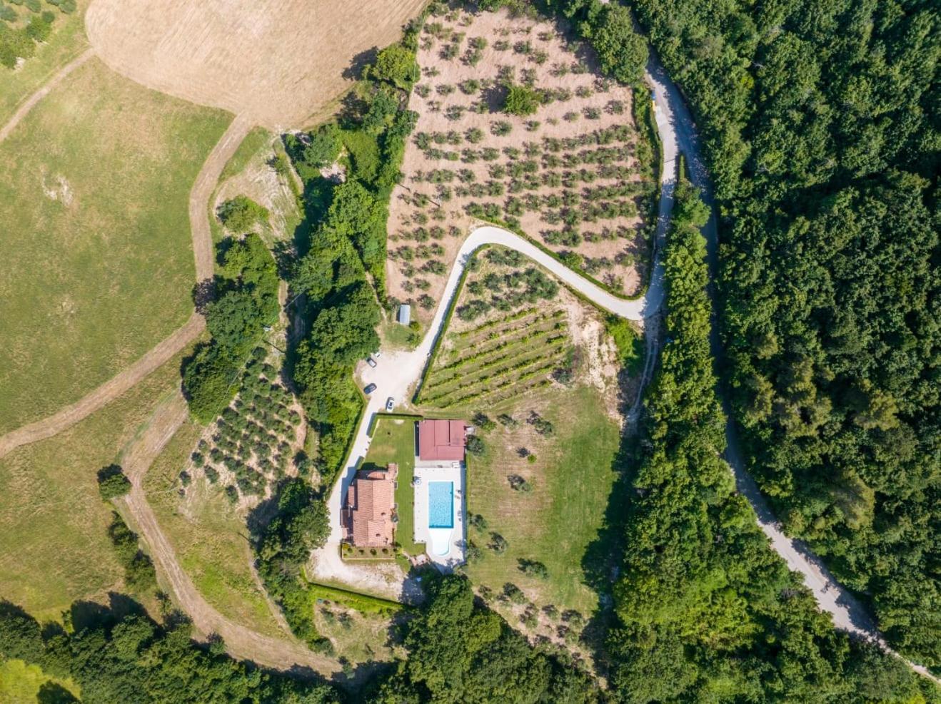 Agriturismo Isola Verde SantʼUrbano Exterior foto